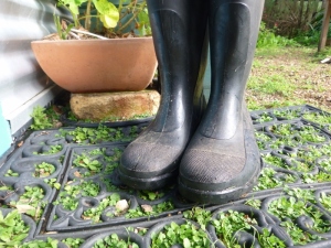 Gumboots ready for action.